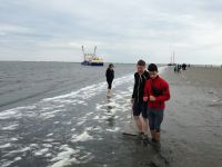 Texel04